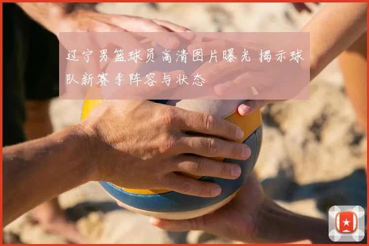 辽宁男篮球员高清图片曝光 揭示球队新赛季阵容与状态