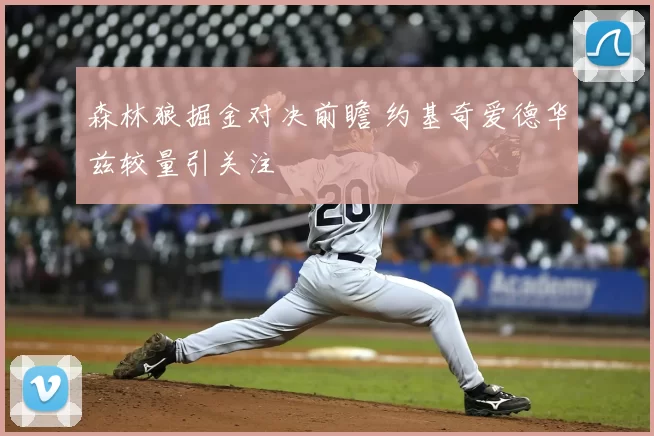 森林狼掘金对决前瞻 约基奇爱德华兹较量引关注