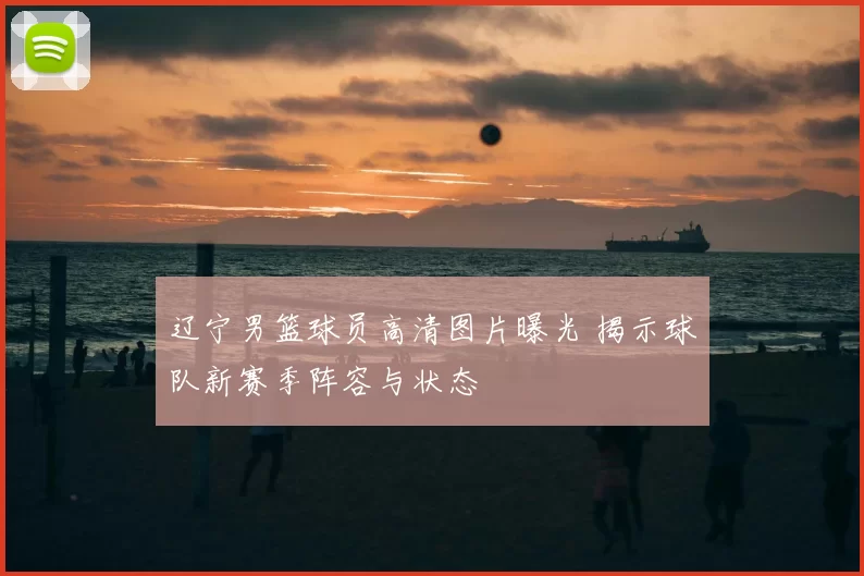 辽宁男篮球员高清图片曝光 揭示球队新赛季阵容与状态