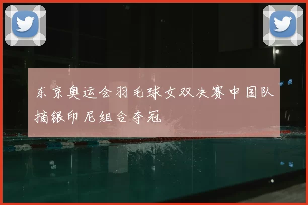 东京奥运会羽毛球女双决赛中国队摘银印尼组合夺冠