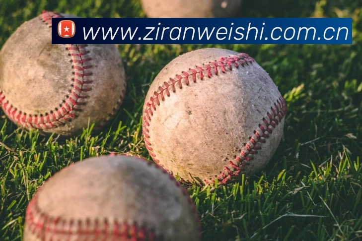 星空官方网站 - 星空online(中国)平台生态图